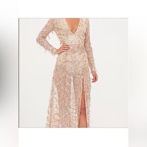 Gold sequin sheer dress